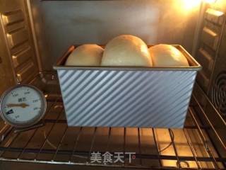 无蛋无油酸奶吐司的做法步骤：15