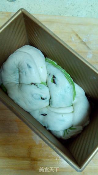 菠菜双色吐司的做法步骤：17