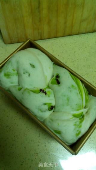 菠菜双色吐司的做法步骤：19