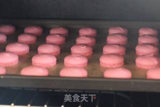 浪漫玫瑰蛋糕的做法步骤：7