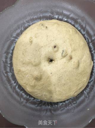 超大红枣蔓越莓乳酪欧包的做法步骤：5