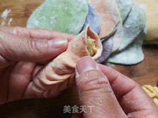 蔬菜煎饺的做法步骤：19