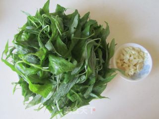 蒜蓉炒白苋菜的做法步骤：1