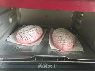 黑加仑紫薯软欧的做法步骤：17