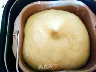 抹茶红豆面包的做法步骤：5