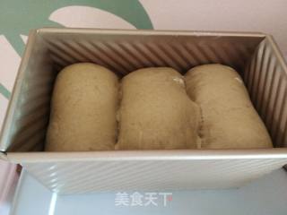 抹茶红豆面包的做法步骤：12