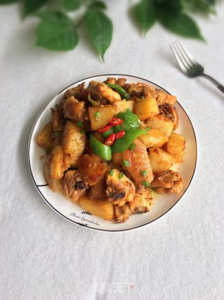 土豆焖鸡的做法步骤：14