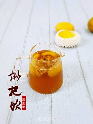 枇杷饮的做法步骤：3