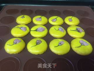 樱花法式马卡龙的做法步骤：11