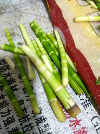 小竹笋炒腊肉的做法步骤：3
