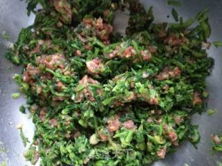 野芹菜猪肉蒸饺的做法步骤：8