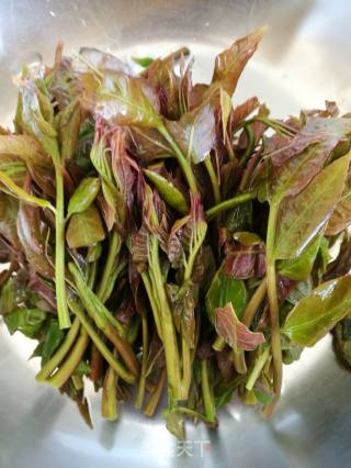 香椿煎蛋的做法步骤：1