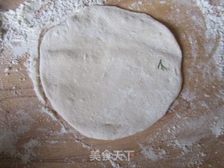 猪肉茴香大包的做法步骤：8