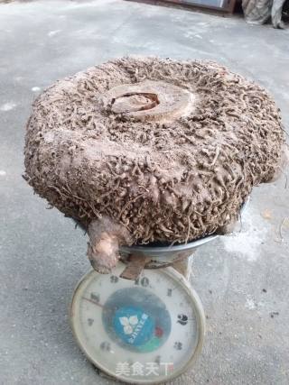 黄肉魔芋糖水的做法步骤：1