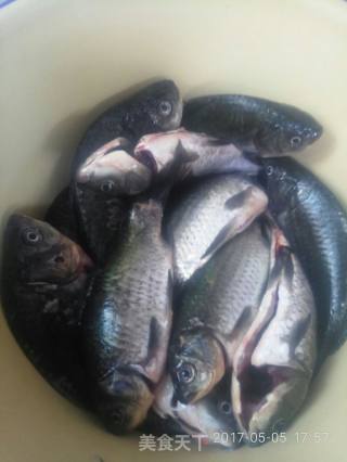 鲫鱼豆腐汤的做法步骤：1