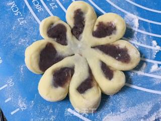 红豆沙花朵面包的做法步骤：10
