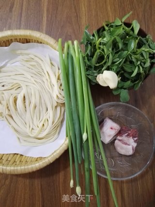 苜蓿肉酱面的做法步骤：5