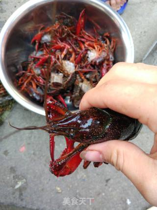 麻辣小龙虾的做法步骤：1