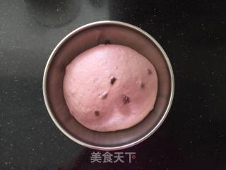 红香妃紫薯软欧的做法步骤：8