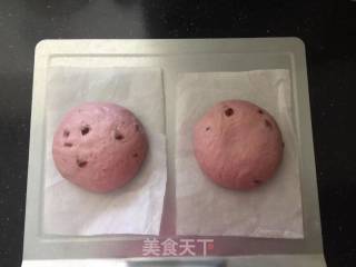 红香妃紫薯软欧的做法步骤：15