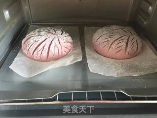 红香妃紫薯软欧的做法步骤：17
