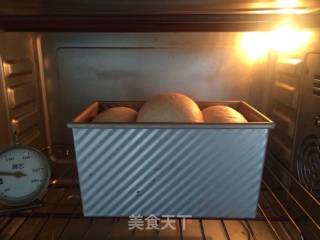 黑麦吐司的做法步骤：17