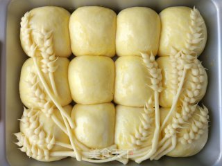 原味麦香挤挤小面包的做法步骤：17