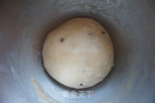 巧克力吐司的做法步骤：7