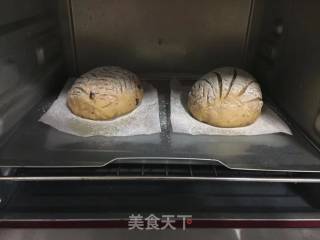 咖啡红糖软欧的做法步骤：14