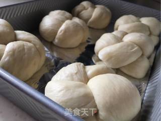 淡奶老式面包的做法步骤：12