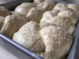 淡奶老式面包的做法步骤：14