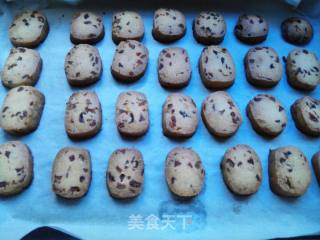 蔓越莓饼干的做法步骤：17