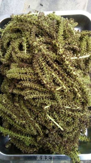 炝拌核桃坠苔（来自秦岭深山的美味）的做法步骤：2
