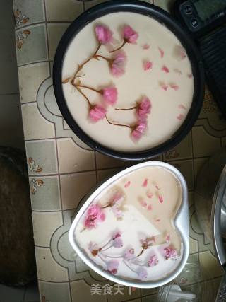 樱花芝士酸奶蛋糕的做法步骤：16