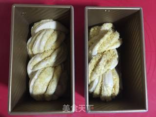 奶香椰蓉吐司的做法步骤：17