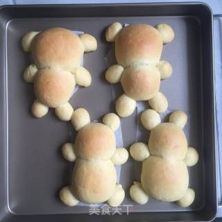 小熊面包的做法步骤：9