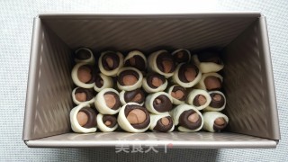 豹纹吐司的做法步骤：8