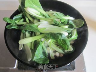 白玉菇炒小白菜的做法步骤：4