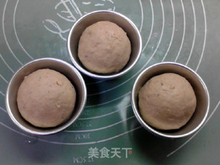 菠萝蜜核芝麻全麦面包的做法步骤：10
