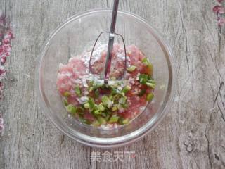 煎烤酿豆腐的做法步骤：4