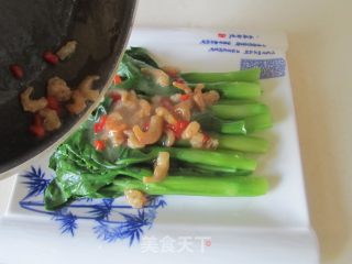 虾仁扒芥蓝的做法步骤：9
