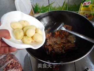 小土豆红烧排骨的做法步骤：10