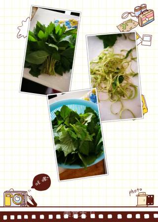 清炒革命菜的做法步骤：1