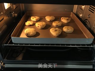 蔓越莓司康的做法步骤：9