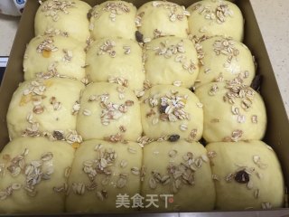 牛奶豆沙小餐包的做法步骤：10