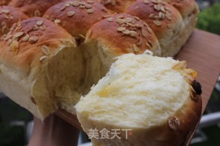 牛奶豆沙小餐包的做法步骤：12