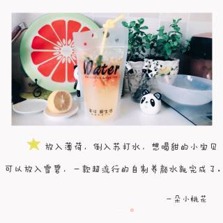 一款超火的自制排毒养颜水的做法步骤：6