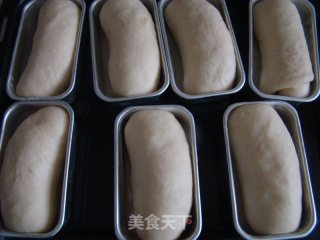 沙拉奶酪肉松面包的做法步骤：7