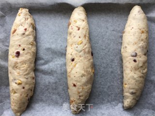 核桃无花果欧包的做法步骤：9