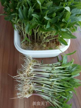 绿豆芽苗西瓜皮凉菜的做法步骤：1